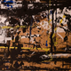 brazil, petrobras, art